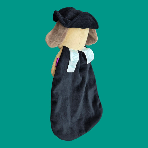 Taggies Pirate Puppy Dog Security Lovey Plush Baby Toy Rattle Satin Tactile Tags - Picture 5 of 8